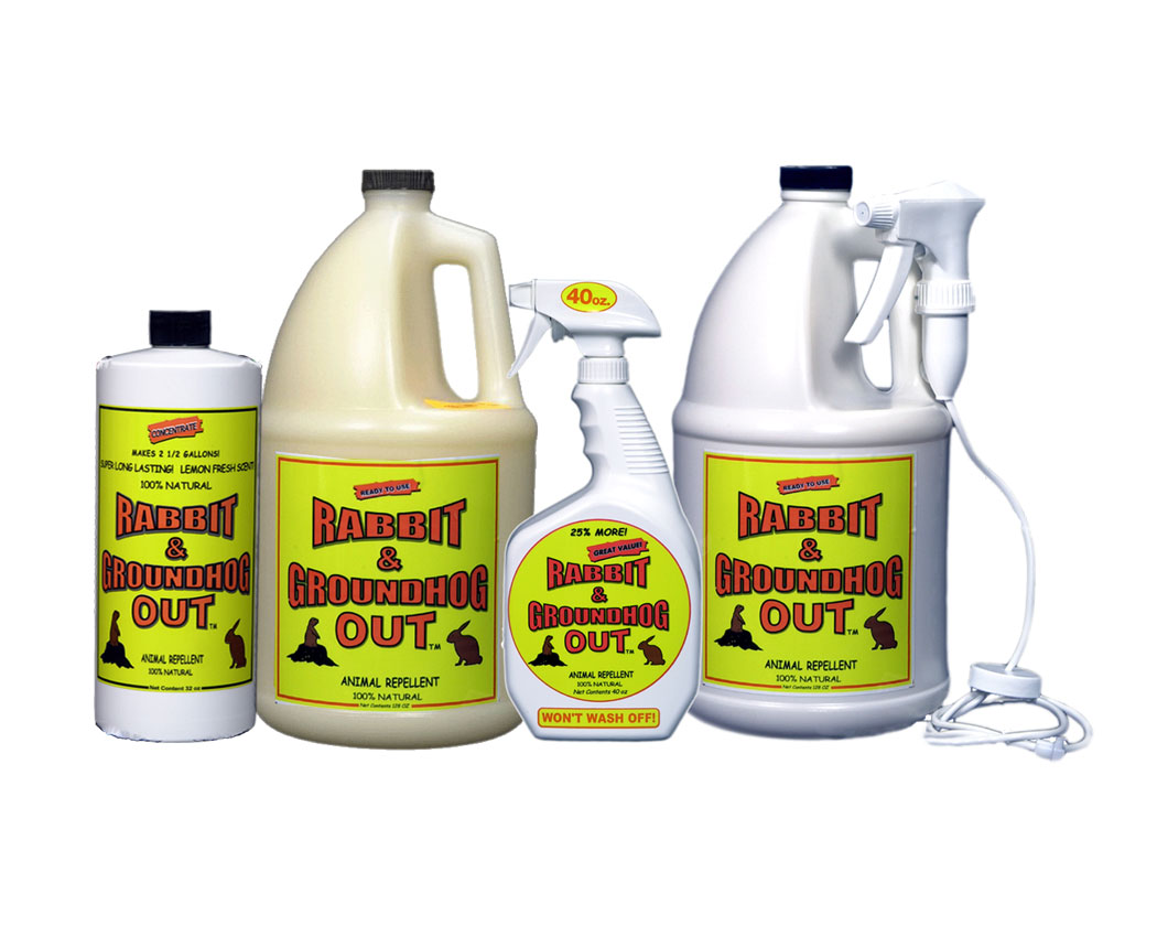 Natural clearance rabbit repellent
